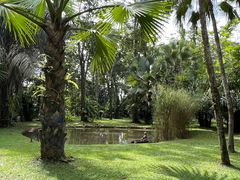 -中国科学院西双版纳热带植物园