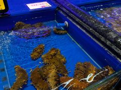 -万宝海鲜舫(劳动公园店)