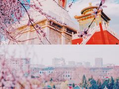 -北海公园