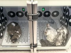 -FAELING PETS美天灵宠物(富力广场店)