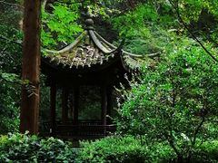 -虎跑公园