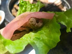 -33韩式自助烧烤(环城南路店)