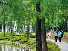 -顺峰山公园