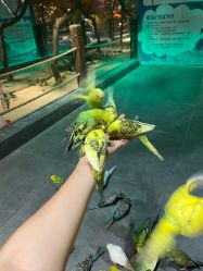 -酷嗒动物文化乐园(cutezoo西溪乐天城店)