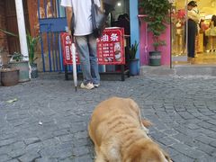 -殷姐糯米包油条