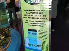 -瑞普利水族馆