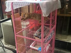 -牛王庙吳記怪味面(双楠店)