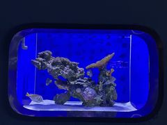 -重庆欢乐海底世界