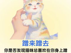 -御宝贝·A梦猫科宠物医院(国际猫友好医院)