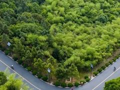-南京市无想山景区
