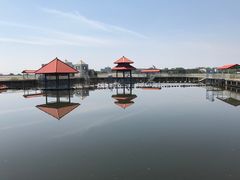 -青龙湖公园