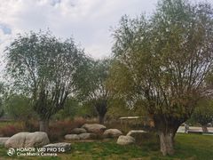 -汉长安城未央宫国家考古遗址公园