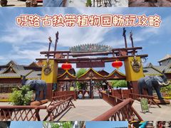 -呀路古热带植物园