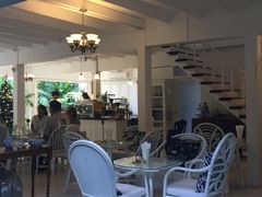 -Fern Forest Cafe