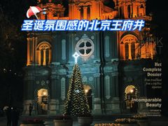 -王府井天主教堂