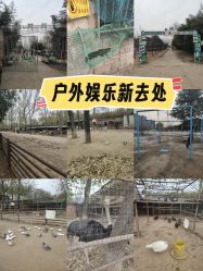 -上美四季动物农场