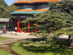 -洪记白水羊头(天坛店)