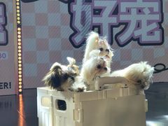 -成都银泰城