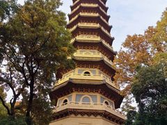 -灵谷景区