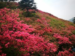 -木兰云雾山