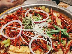 -南锣肥猫·麻辣烤鱼·15年现烤现卖(通州领展店)