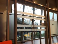 -新加坡摩天观景轮