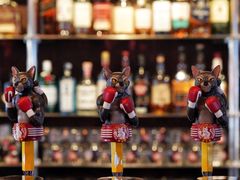 -Boxing Cat Brewery拳击猫精酿啤酒馆(思南公馆店)