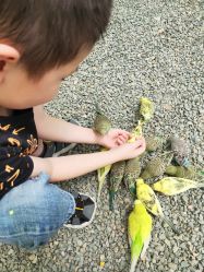 -萌宠亲子动物乐园(槐房万达店)