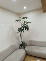 -HEYAN荷妍专业脱毛连锁机构