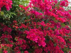 -黄金海岸环岛路