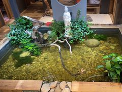 -邈墨茶馆(大兜路1号店)
