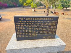 -元江连续刚构世界第一高桥景区