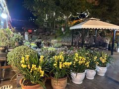 -山菌美食苑(振兴路店)