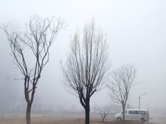 -东戴河风景区