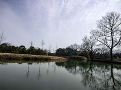 -西溪国家湿地公园