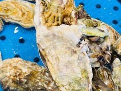 -渔公码头·九龙湾国际饭店
