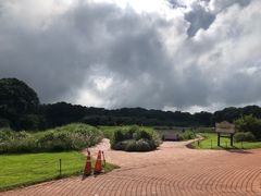 -济州森林小火车生态公园