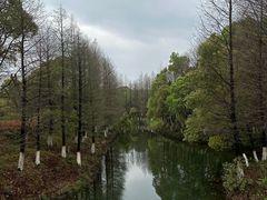 -八大山人梅湖景区