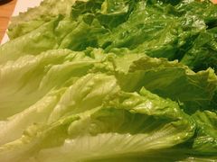 生菜-久苑烧肉(世界城广场店)