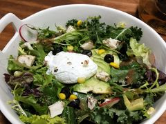 -百好乐宠物友好餐厅(朝外大街店)