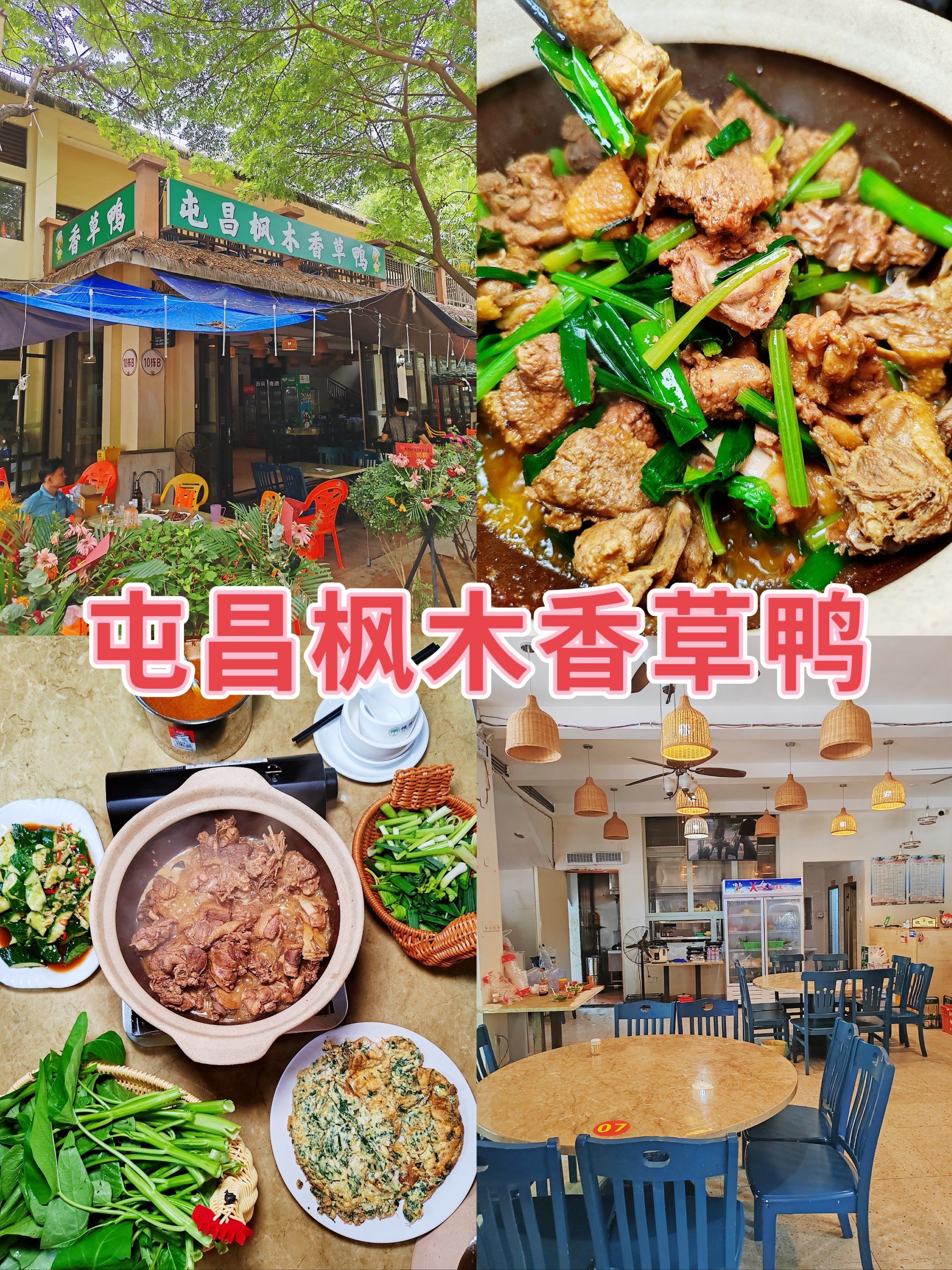 海南本地特色美食屯昌枫木香草鸭
