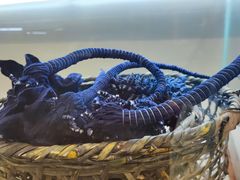 -璞真扎染博物馆