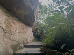 -铁山坪森林公园