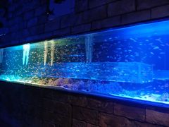 -zoonana室内动物园(东方福来德店)