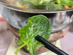 -梅红羊肉馆(赭山西路店)