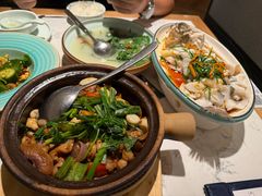 -大榕树下顺德菜(融创茂店)