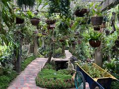 -中国科学院西双版纳热带植物园
