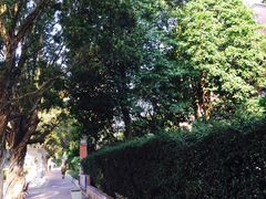 -情侣路