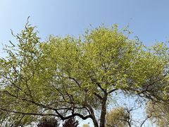 -汉长安城未央宫国家考古遗址公园