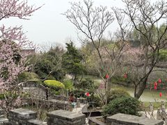 -朴园